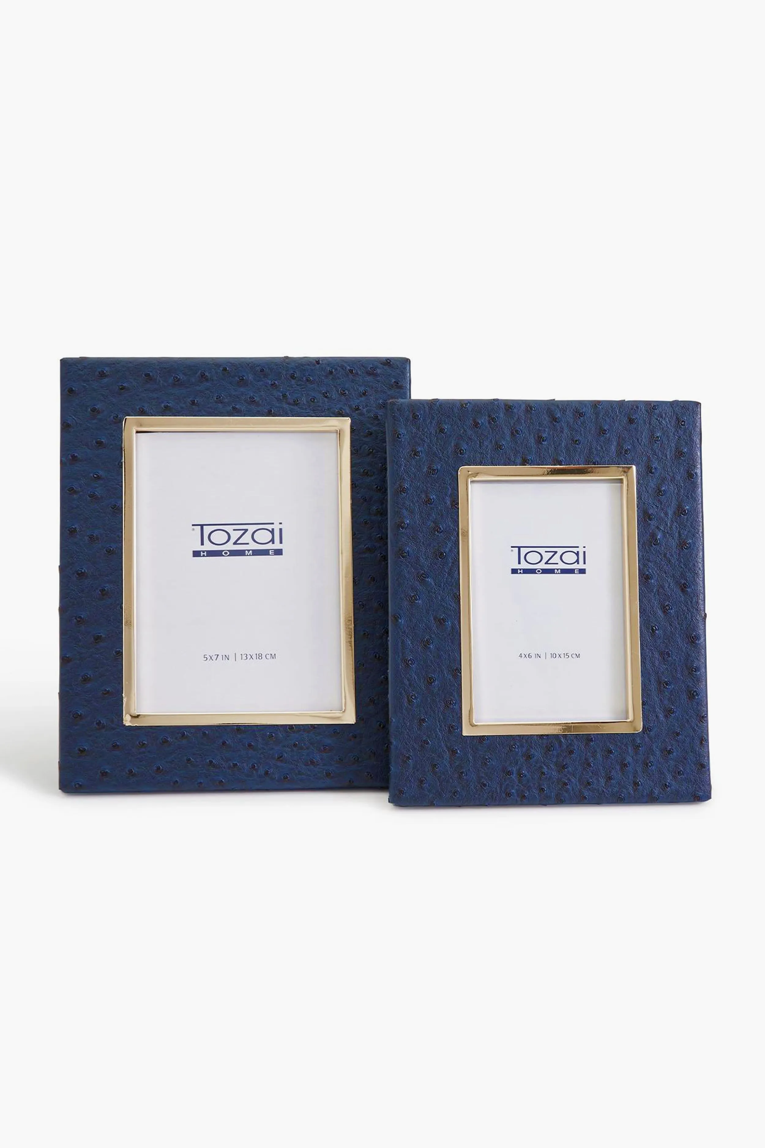 4x6 Navy Ostrich Photo Frame with Gold Edge