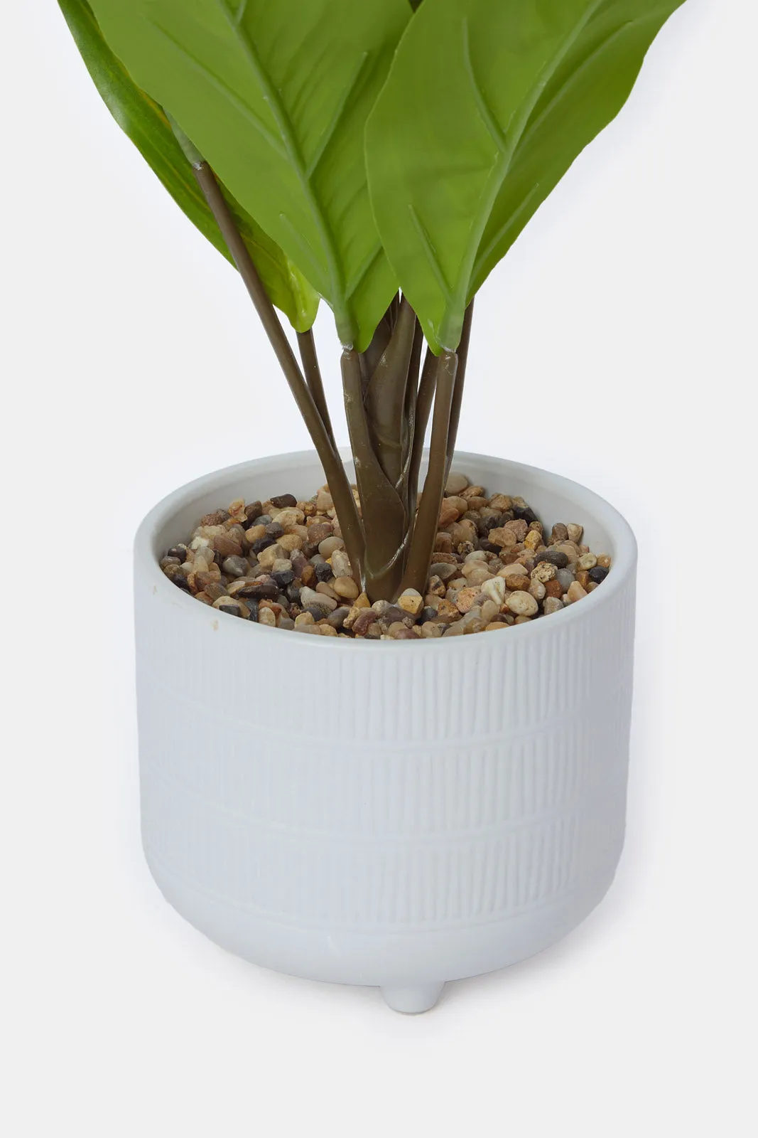 Artificial Creeper Plant In Ceramic Pot