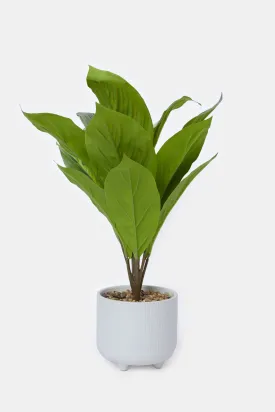 Artificial Creeper Plant In Ceramic Pot