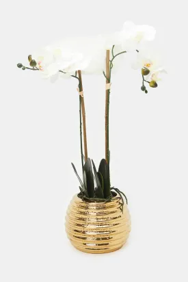 Artificial Orchid Flower In Gold Ceramic Pot