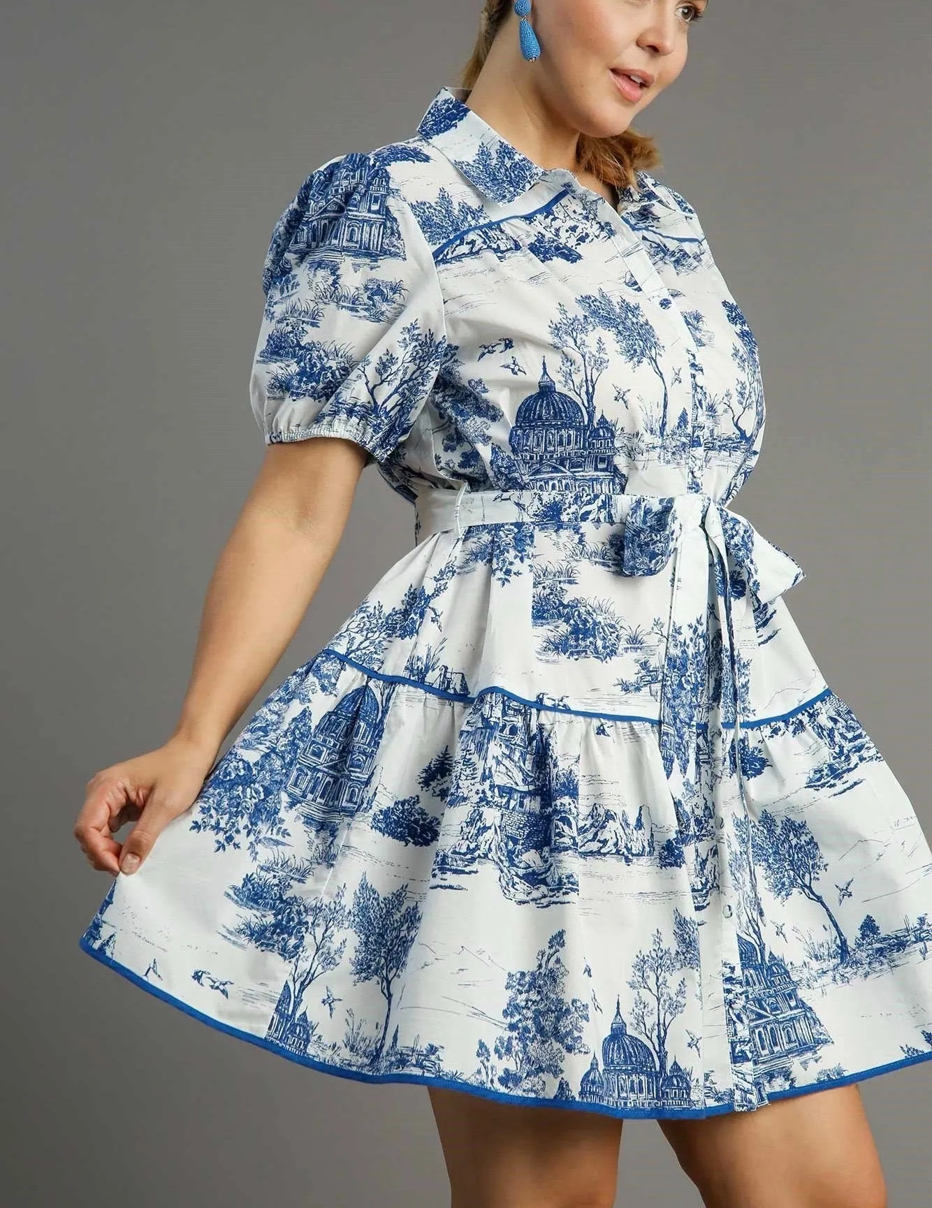 Blue Willow Print Dress