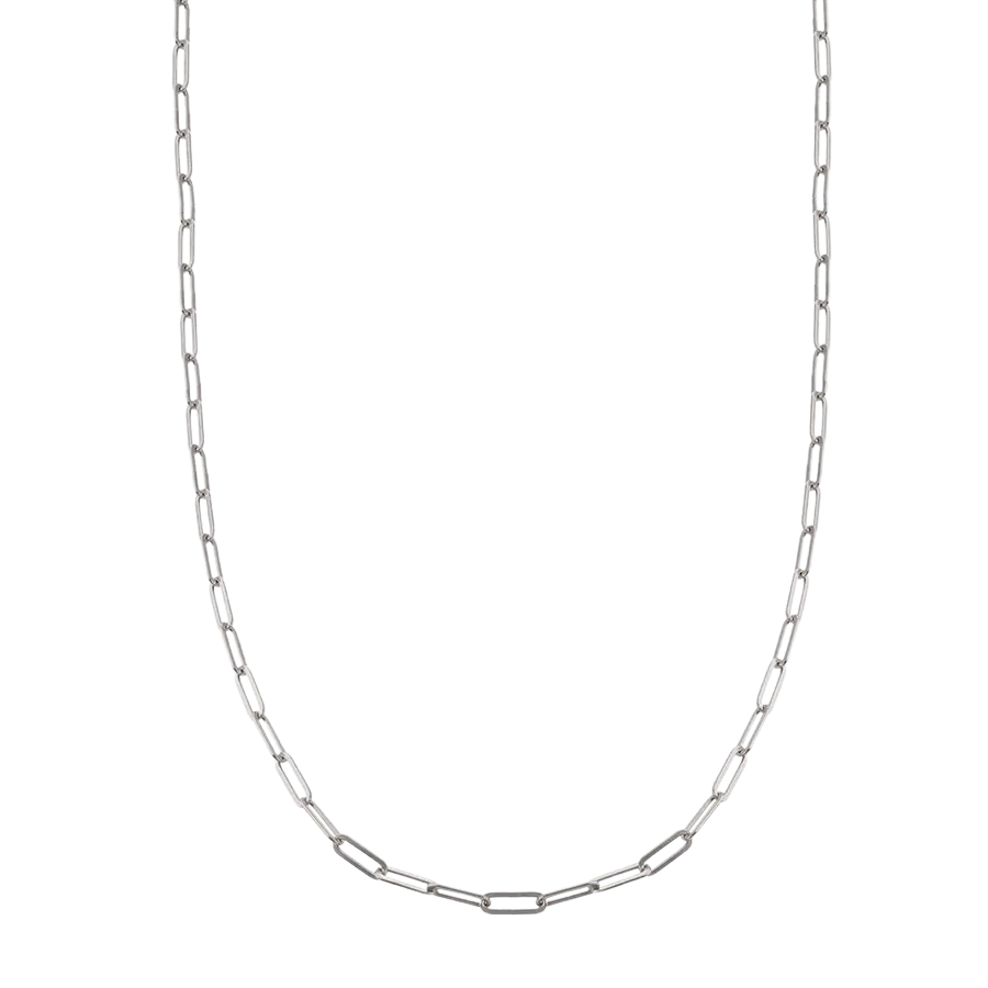 Dalila Silver Chain Link Necklace