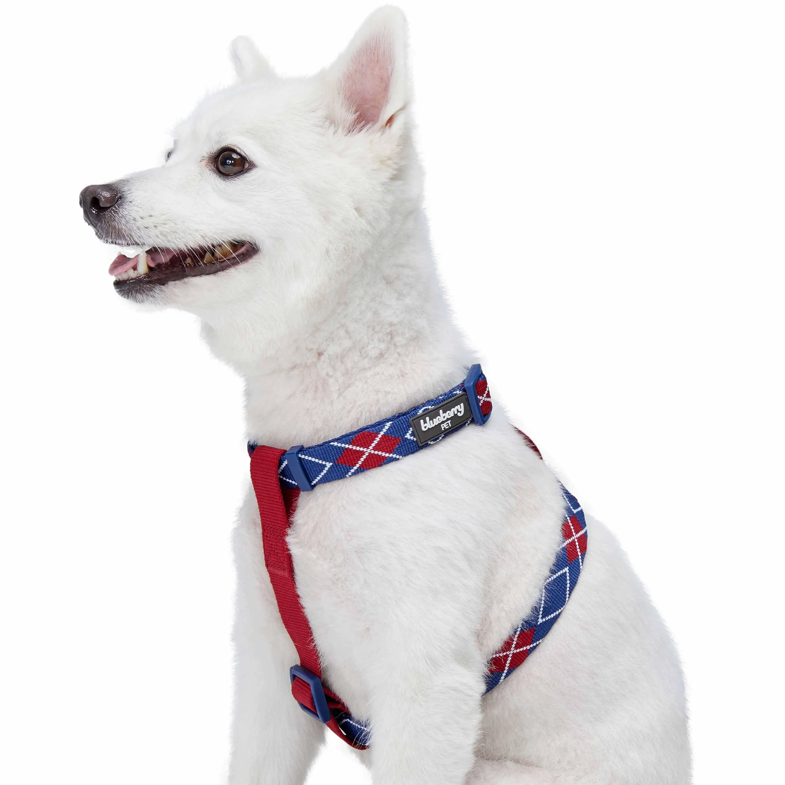 Dog Harness in Scottish Argyle