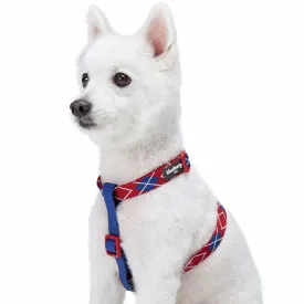 Dog Harness in Scottish Argyle