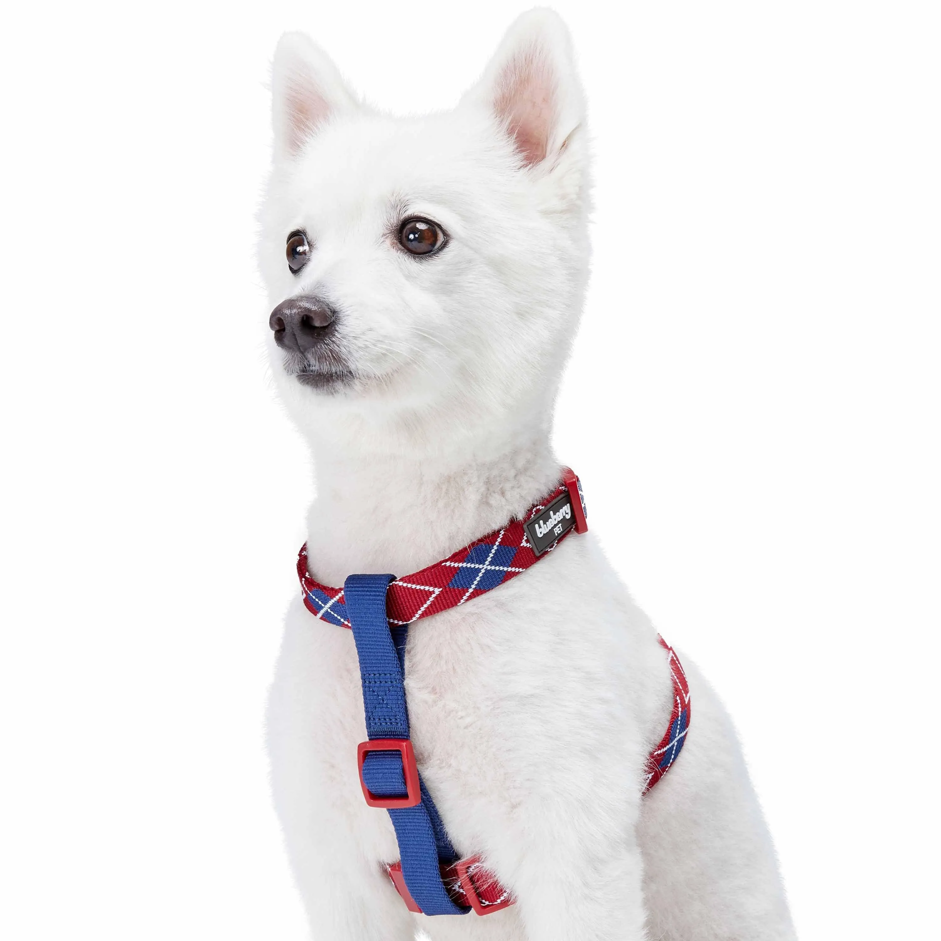 Dog Harness in Scottish Argyle