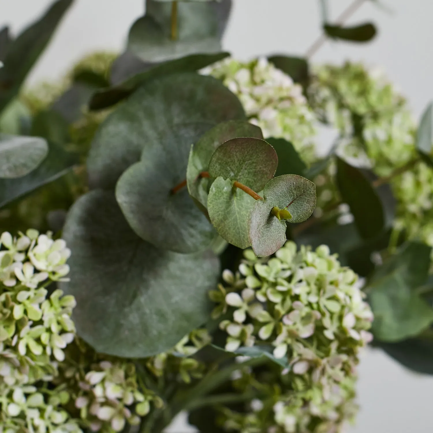 Eucalyptus & Snowball Large Everyday Spring Summer Floral Arrangement in Tall Glass Vase