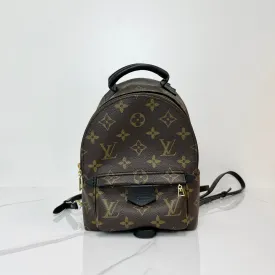 Louis Vuitton Palm Springs Mini