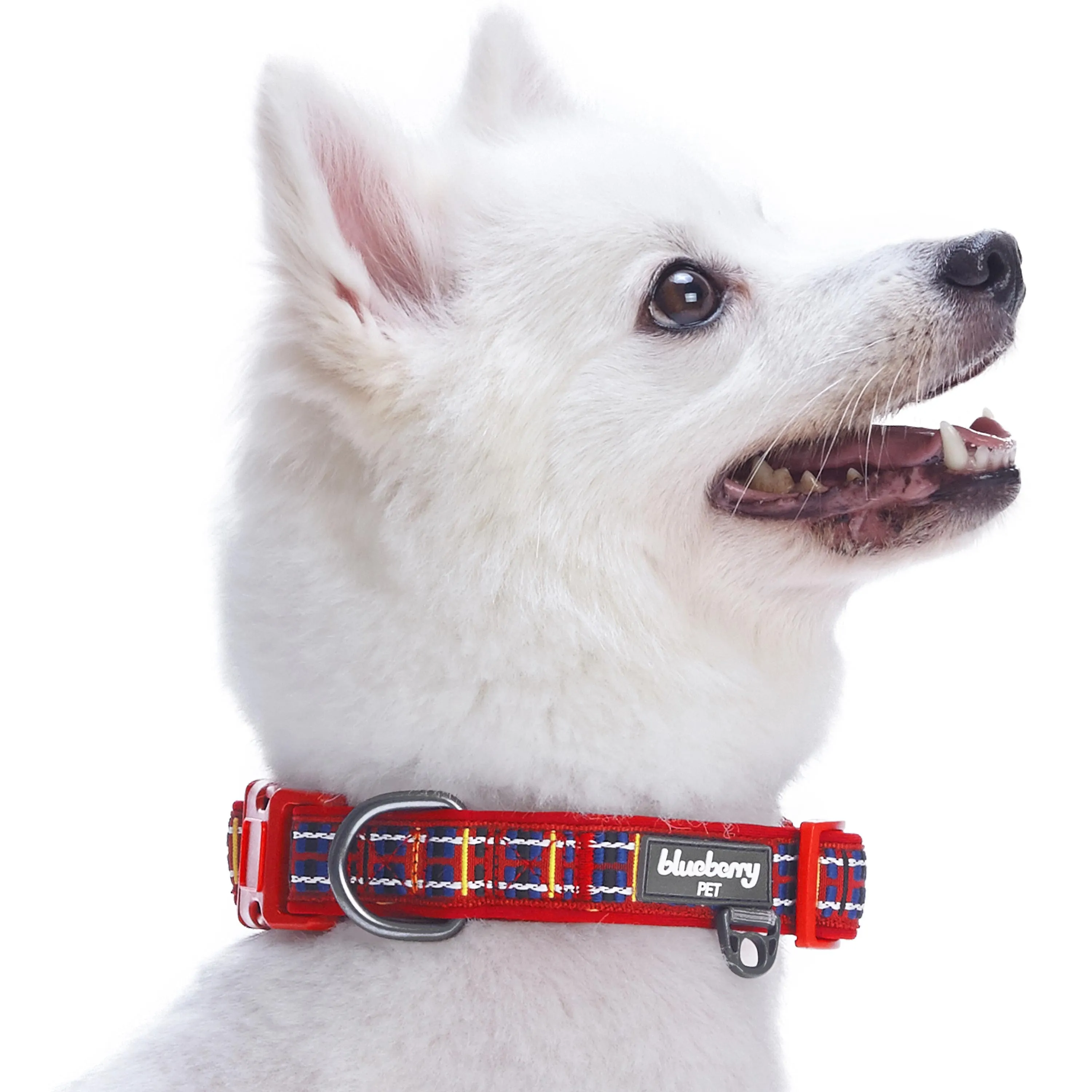 Plaid Pattern Neoprene Padded Dog Collar