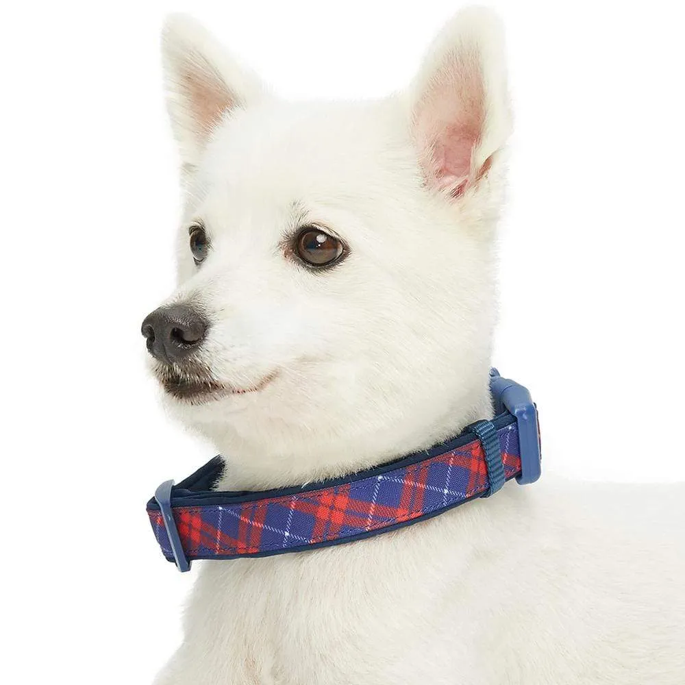 Plaid Pattern Neoprene Padded Dog Collar