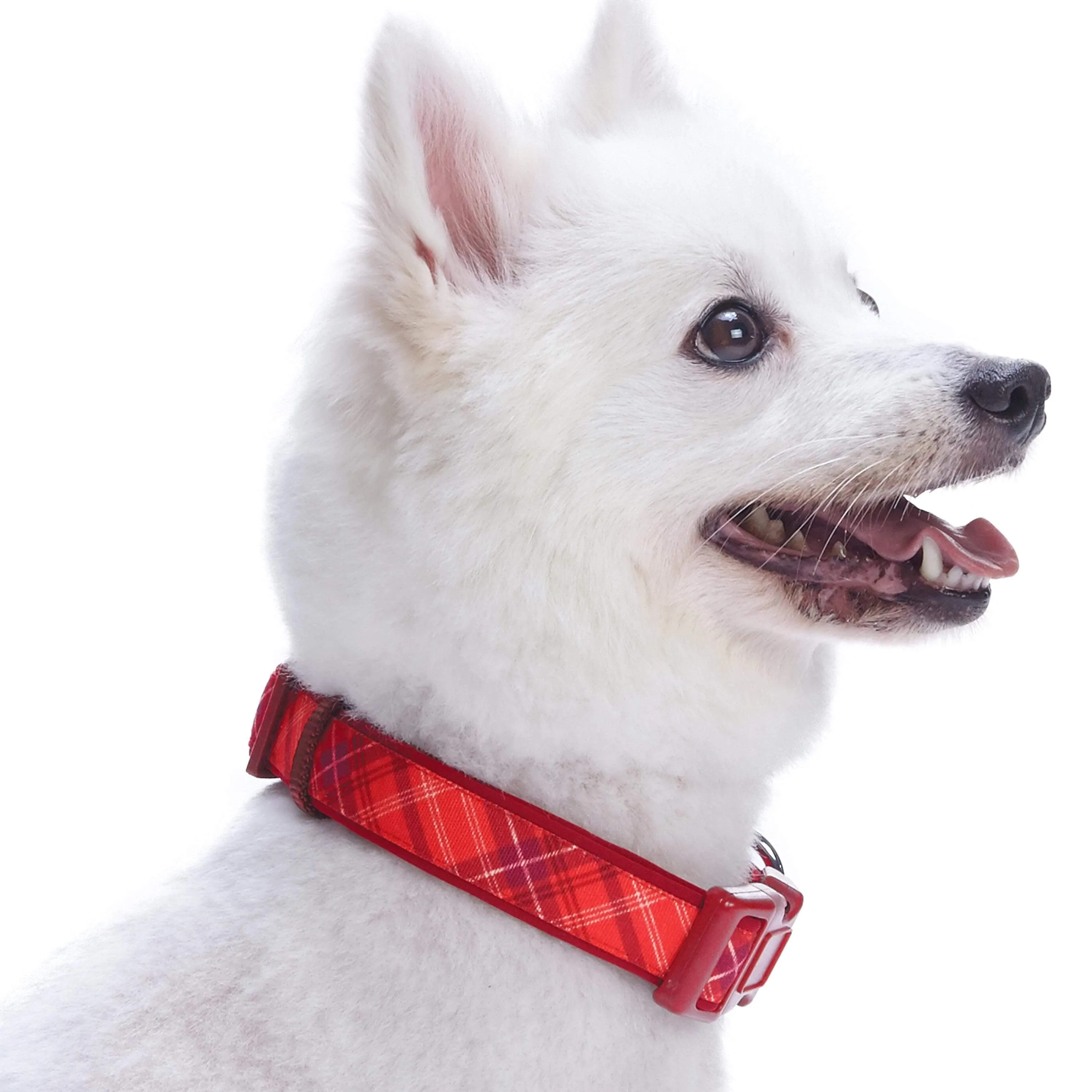 Plaid Pattern Neoprene Padded Dog Collar