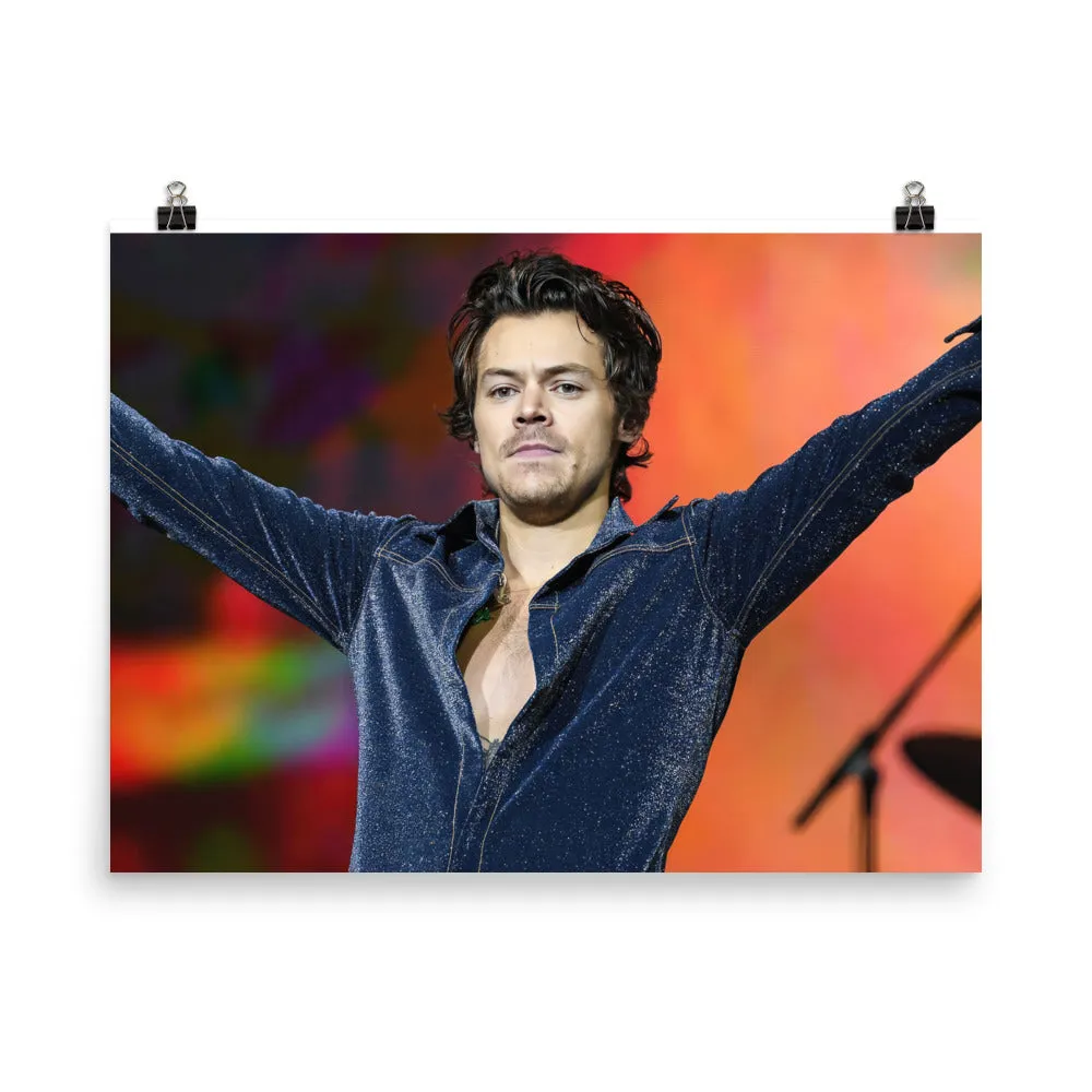 Vintage Vibe Harry Styles Poster